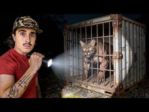 I Found an Abandoned Serval and Transformed Its Home!