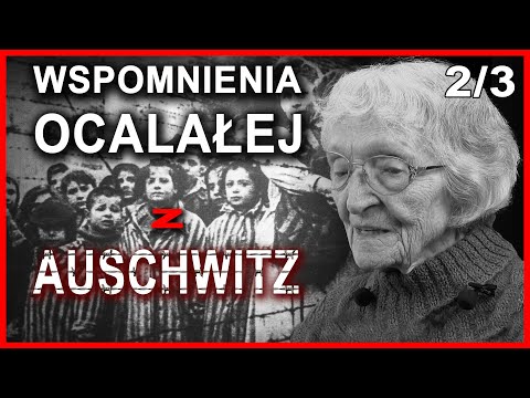 Wstrząsające fakty z życia w Auschwitz-Birkenau. Najlepsza lekcja historii! 2/3