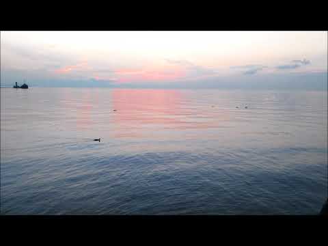 Reincarnation Experience. Conversation with Higher Self. The event. QHHT