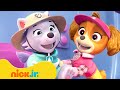 PAW Patrol Girl Power Rescue Hour 3 W Skye Everest 10 Minutes Nick Jr