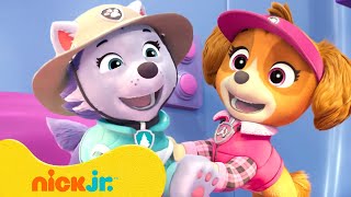 Download lagu PAW Patrol Girl Power Rescue Hour! #3 w/ Skye & Everest | 10 Minutes | Nick Jr. mp3