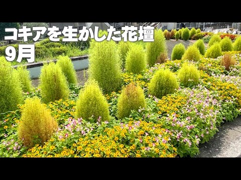 園芸 庭の自然な一角