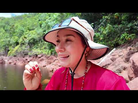Como viajar al amazonas?  Autana Tepuy