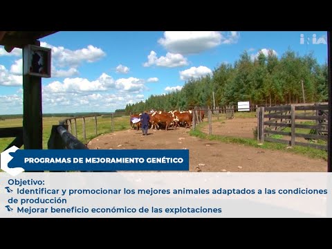 , title : 'Evaluaciones genéticas bovinas,  SRGen'