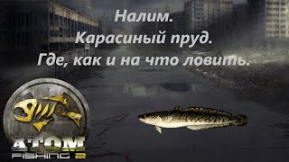 Atom fishing 2 на что ловить лягушку