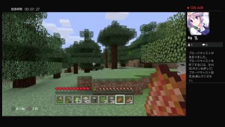 マイクラプレイ