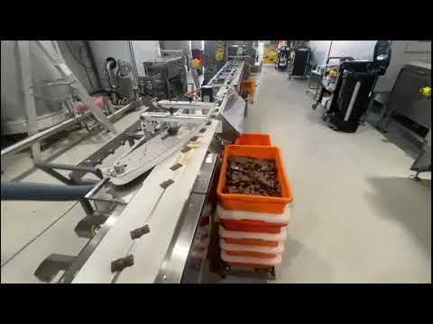 Emrich Packaging Machinery - PFM Zephyr Line - Chocolate Bears