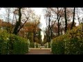 Осень в Летнем Саду. Город над Невой 