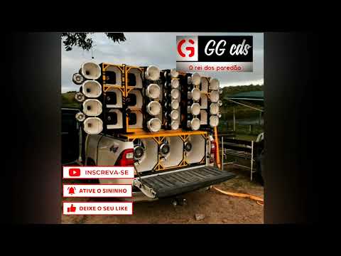 BOTADONA FORTE - BOYZINHO O REI DA BREGADEIRA