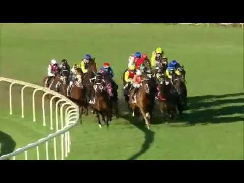 2017 STRADBROKE HANDICAP - Impending