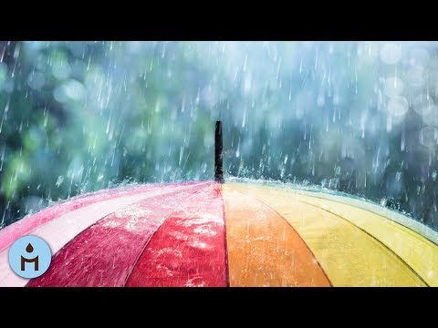 Rain Sounds 10 Hours:The Sound of Rain Meditation,Autogenic Training,Deep Sleep,Relaxing Sounds ❀803