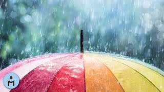 Rain Sounds 10 Hours:The Sound of Rain Meditation,Autogenic Training,Deep Sleep,Relaxing Sounds ❀803