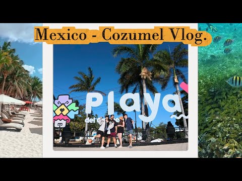 Mexico Trip — Episode 1
