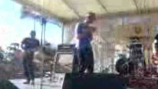 birds of tokyo- wayside