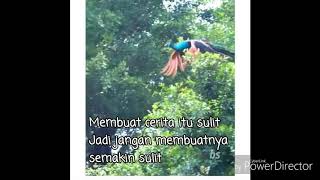 Download lagu Korban janji - Guyon Waton || Status Wa keren mp3