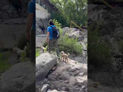 Vecinoloco en LA TOMA capilla del monte Córdoba ♥️