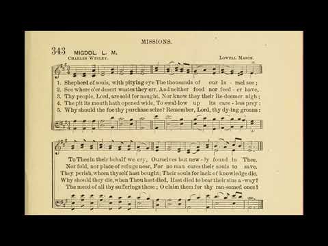 Thumbnail for Shepherd Of Souls, With Pitying Eye video