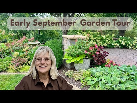 Early September Garden Tour: What’s Thriving and What I Won’t Grow Again Next Year