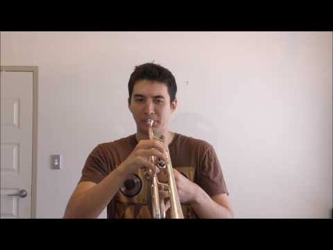 Michael Jackson - The Way You Make Me Feel (Trumpet)
