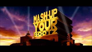 Benny Benassi vs. Flo Rida vs. Public Enemy - How Low [DJ Mei-Lwun]