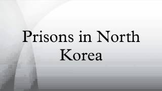 Severní Korea odpálila navzdory varování ze strany Presidenta Trumpa balistickou střelu.