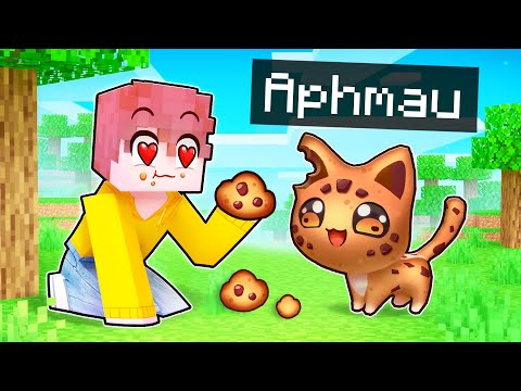 Becoming A YUMMY Cookie Kitten In MINECRAFT!