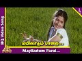 மயிலாடும் பாடல் மனு நீதி தமிழ் படப்ப�