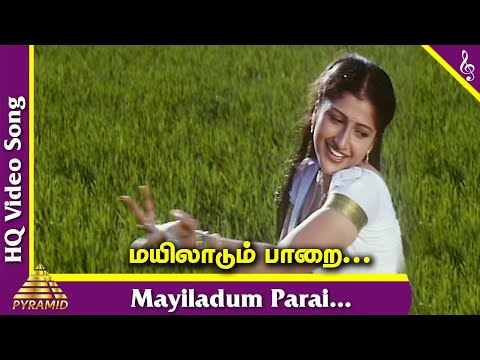 Song Cover Art for Mayilaadum Paarai