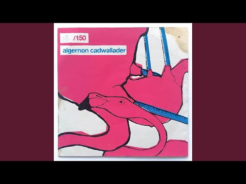 This Boy - Algernon Cadwallader