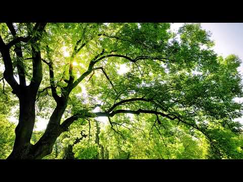 Meditazione 06 Il lago di pace