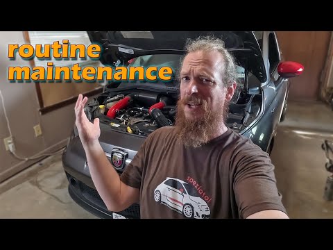 Abarth 500 - Timing Belt, Water Pump, & Spark Plug Tube Seals