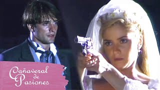 Download lagu Cañaveral de pasiones: Julia intenta escapar de Pablo | C-81 | tlnovelas mp3