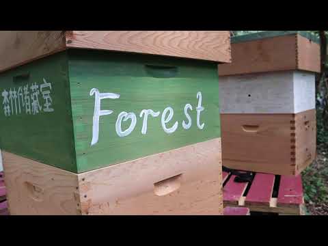 Beehive Painting & Calligraphy