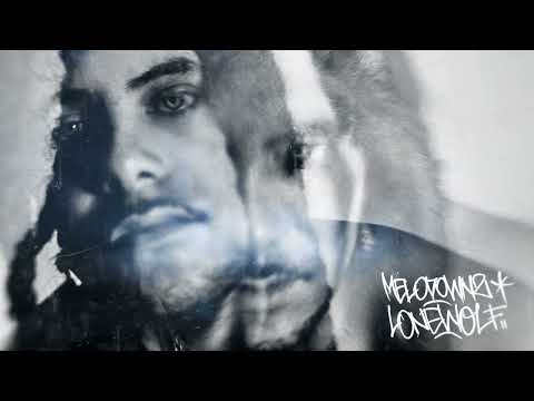 MELODOWNZ - Heart Chakra (Visualizer)