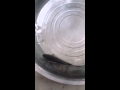 Un pescado congelado vuelve a la vida