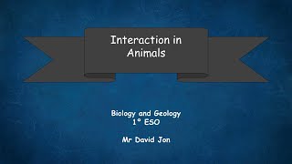 The Musculoskeletal System