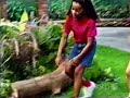 All Week Of Walk Around The Block With Barney Screener All Week Version Part 39