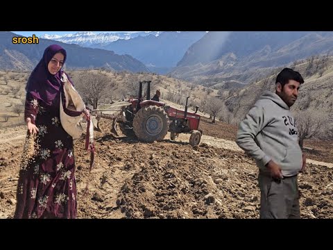 Plowing the agricultural land of Soroush and Soghra