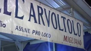 2016 - SAN SISTO (PG) - 10-09-16 - Immagini Stand Gastronomici