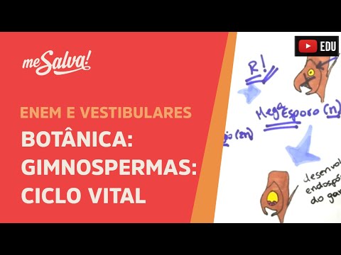 Me Salva! BOT08 - Botânica - Gimnospermas: Ciclo Vital