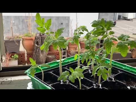 “ Es geht nicht nebeneinander und schon gar nicht gegeneinander, es geht nur miteinander“(Ringel)