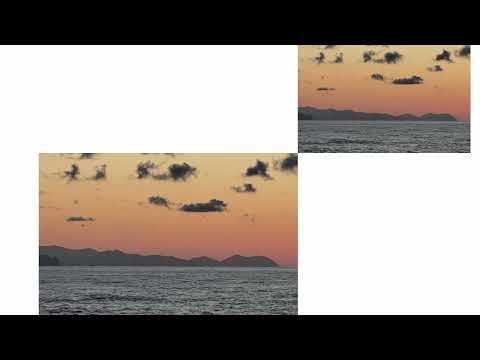 TEED - Always With Me (Official Visualiser)