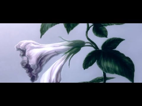 93FEETOFSMOKE - December Ft. Fats'e (prod. 93)