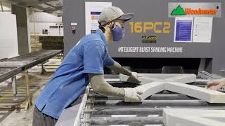 Máy CHÀ NHÁM CHÂN BÀN bằng CÁT PHUN WM-16PC2