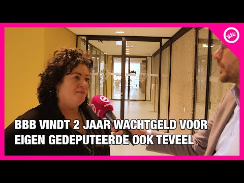 BBB employee receives two years of severance pay for three months of work - Van der Plas: 'I find...