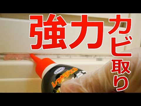  SOS: 苗にカビが発生しました!彼らを救えるでしょうか？やり方は？  庭園