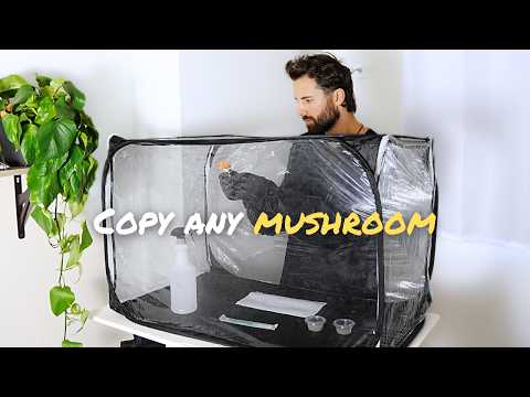 Mushroom Cloning Basics | Beginner Guide