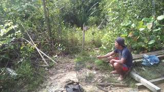 Download lagu pikat kowul/kolibri wulung paling agresif 'pulut di pegang tetap di serang' mp3 Download lagu pikat kowul/kolibri wulung paling agresif 'pulut di pegang tetap di serang' mp3