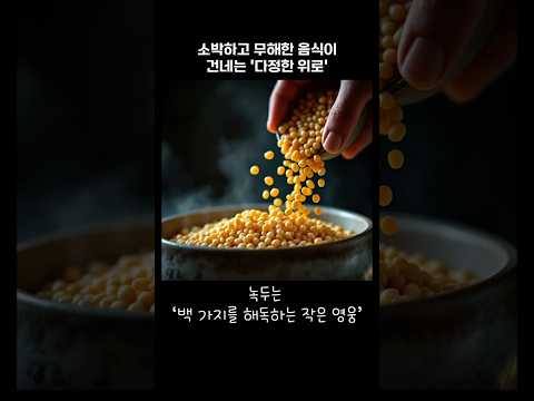 『오늘부터 채식주의』 신간 출간 - 쇼츠 뉴스(김윤선, 루미의정원)