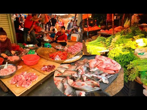 Ever Seen Largest Fish Distribution in Cambodia -  New Fish Market Scenes and People Activities